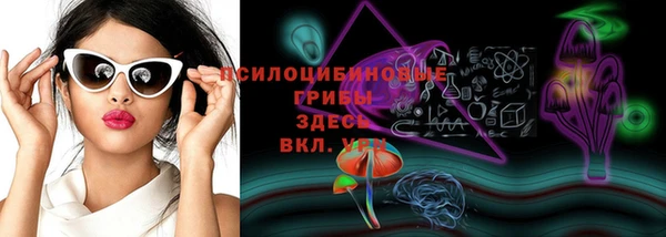 шишки Козельск