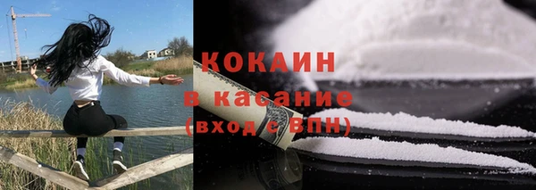 прущие грибы Алапаевск