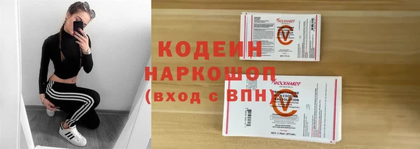 шишки Козельск