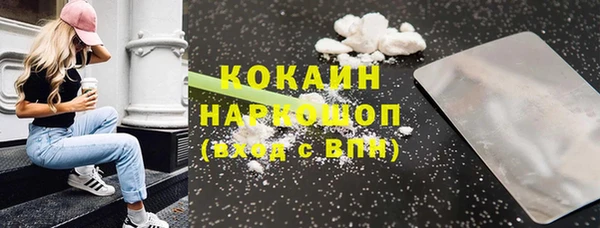 шишки Козельск