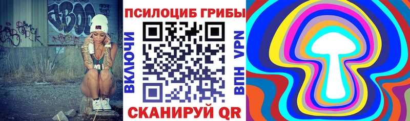 купить  цена  Лосино-Петровский  omg онион  даркнет какой сайт  Псилоцибиновые грибы GOLDEN TEACHER 